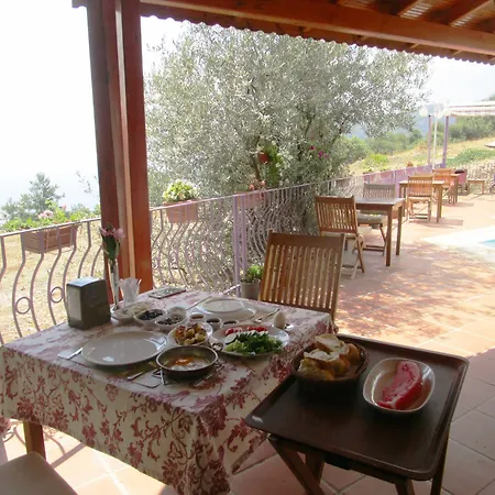 Aparthotel Lavanta Butik Otel Turunc 4*