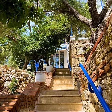 Lavanta Butik Otel Turunc