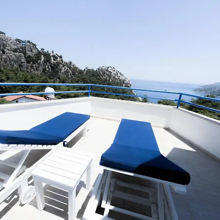 Lavanta Butik Turunç