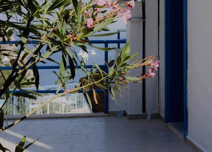 Lavanta Butik Otel Turunc