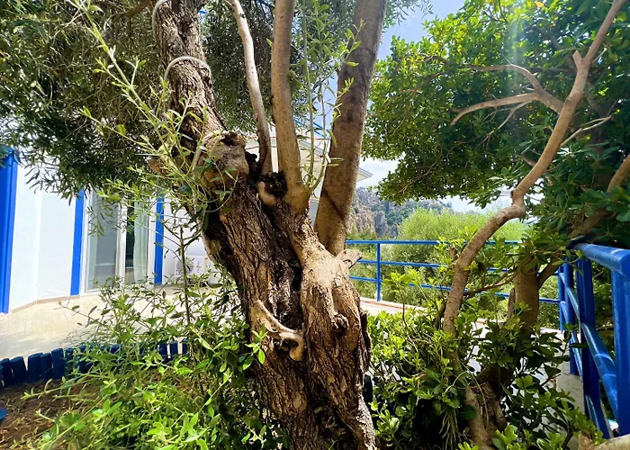 Lavanta Butik Otel Turunc Lägenhetshotell Turunç